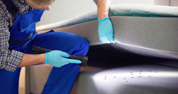 Best Pest Prevention Services  in Taylor, AZ